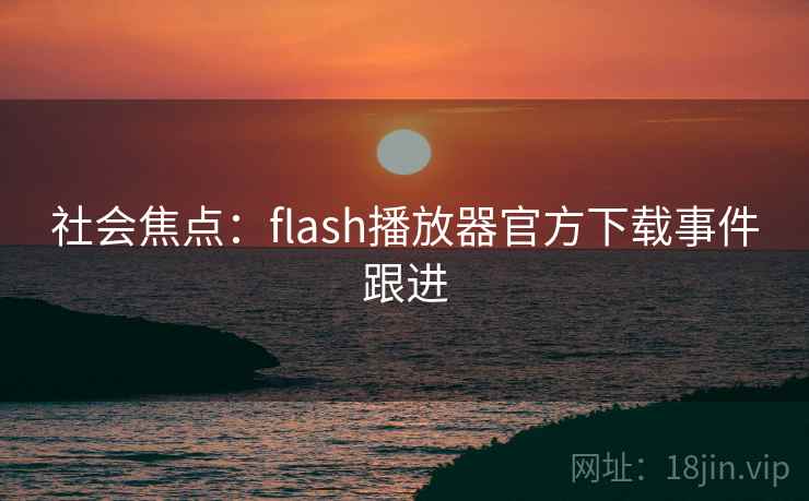 社会焦点：flash播放器官方下载事件跟进  第1张