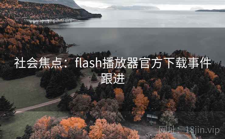 社会焦点：flash播放器官方下载事件跟进  第2张