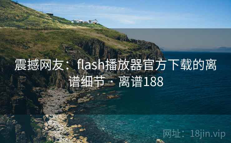 震撼网友:flash播放器官方下载的离谱细节 · 离谱188